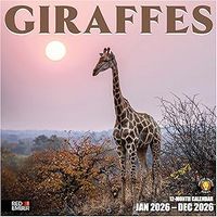Giraffes 2026 Wall Calendar