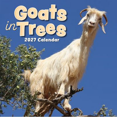 Year of the Goat 2027 Wall Calendar