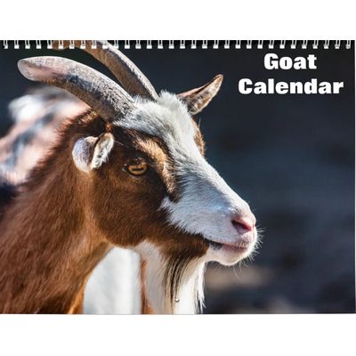 Goat 2027 Wall Calendar