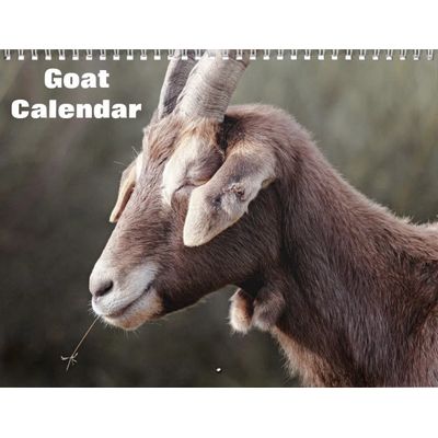 Goat 2027 Wall Calendar