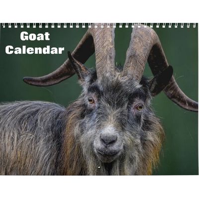 Goat 2027 Wall Calendar