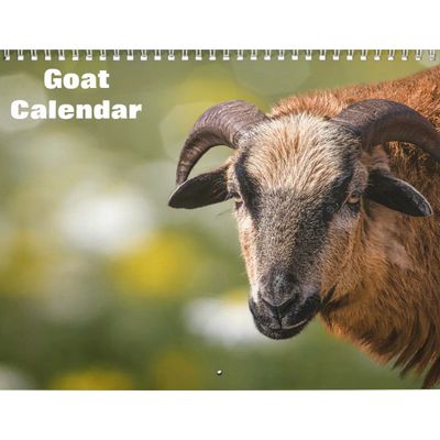 Goat 2027 Wall Calendar