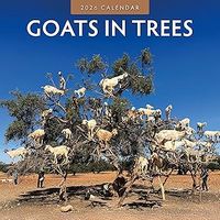 Goats in Trees 2026 Wall Calendar