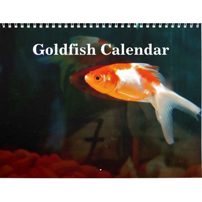 Goldfish 2027 Calendar