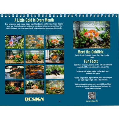Goldfish 2027 Wall Calendar