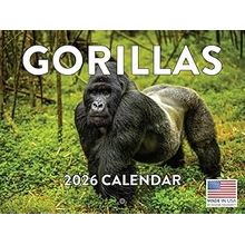 Gorillas 2026 Calendar