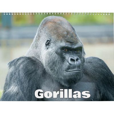 Gorillas 2027 Wall Calendar