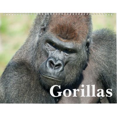 Gorillas 2027 Wall Calendar