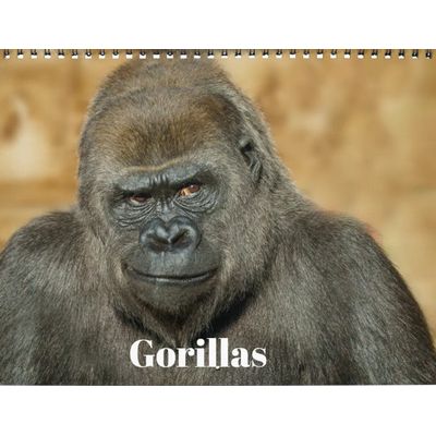 Gorillas 2027 Wall Calendar