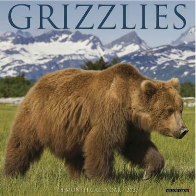 Grizzly Bears 2027 Wall Calendar