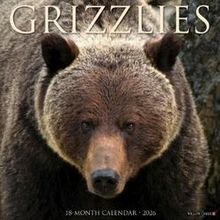 Bears Calendar