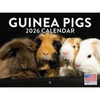 Guinea Pigs 2026 Calendar