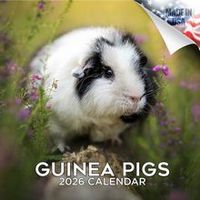 Guinea Pigs 2026 Calendar