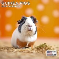 Guinea Pigs 2026 Wall Calendar