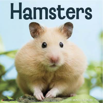 Hamsters 2027 Wall Calendar