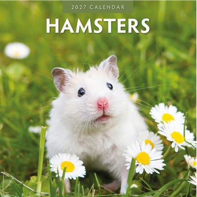 Hamsters 2027 Wall Calendar