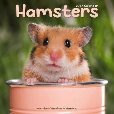 Hamsters 2027 Wall Calendar