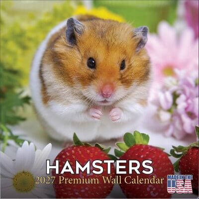 Hamsters 2027 Wall Calendar