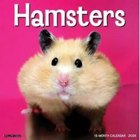 Hamsters 2026 Wall Calendar
