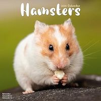 Hamsters 2026 Wall Calendar