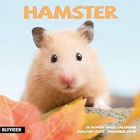Hamsters 2026 Wall Calendar