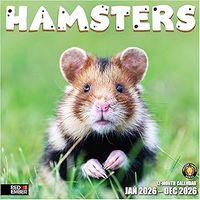 Hamsters 2026 Wall Calendar