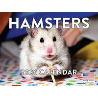 Hamsters 2026 Wall Calendar