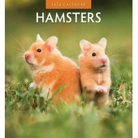 Hamsters 2026 Wall Calendar