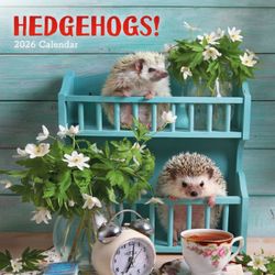 Hedgehogs 2026 Calendar