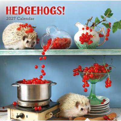 Hedgehogs 2027 Calendar