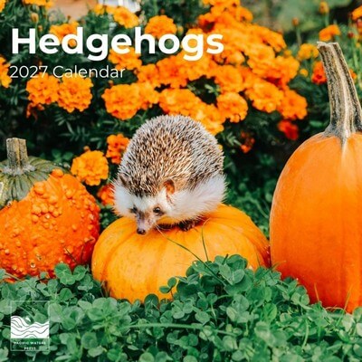 Hedgehogs 2027 Wall Calendar