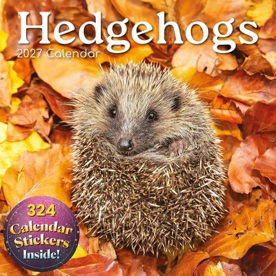 Hedgehogs 2027 Wall Calendar
