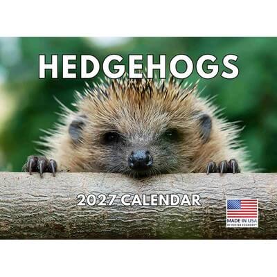 Hedgehogs 2027 Wall Calendar