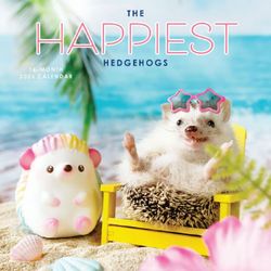 The Happiest Hedgehogs 2026 Calendar