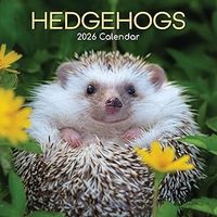 The Happiest Hedgehogs 2026 Calendar