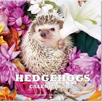 The Happiest Hedgehogs 2026 Calendar