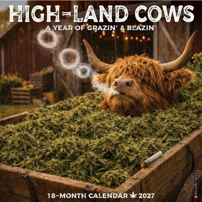 High-Land Cows 2027 Wall Calendar