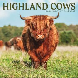 Highland Cows 2026 Wall Calendar