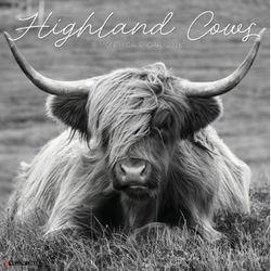 Highland Cows 2026 Wall Calendar