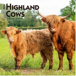 Highland Cows 2026 Mini Wall Calendar