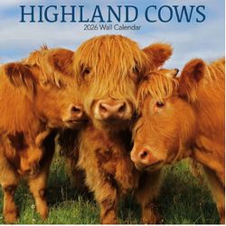 Highland Cows 2026 Wall Calendar