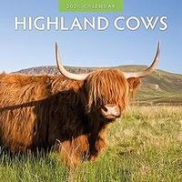 Highland Cows 2026 Wall Calendar