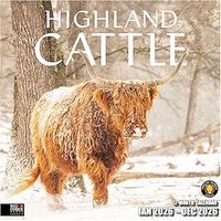 Baby Highland Cows 2026 Wall Calendar
