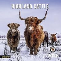 Highland Cows 2026 Wall Calendar