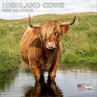 Highland Cows 2026 Wall Calendar