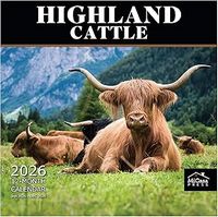Highland Cattle 2026 Wall Calendar