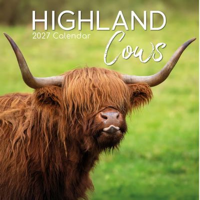 Cows 2027 Calendar