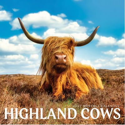 Highland Cows 2027 Wall Calendar