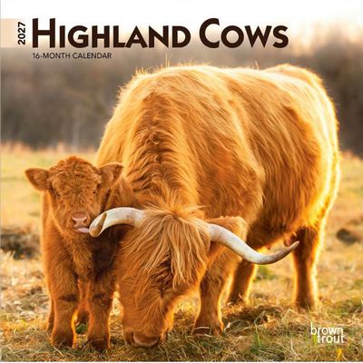 Highland Cows 2027 Mini Wall Calendar