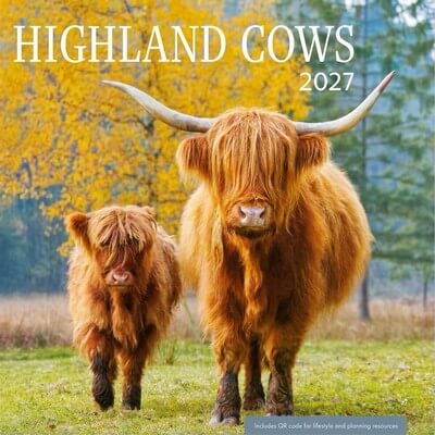 Highland Cows 2027 Planner